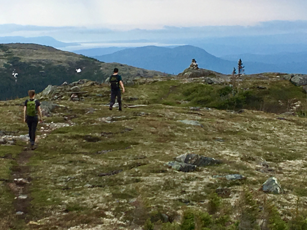 Vers le sommet du Mont Jauffret